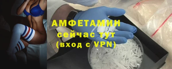 шишки Верея