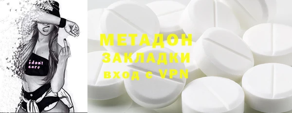 шишки Верея