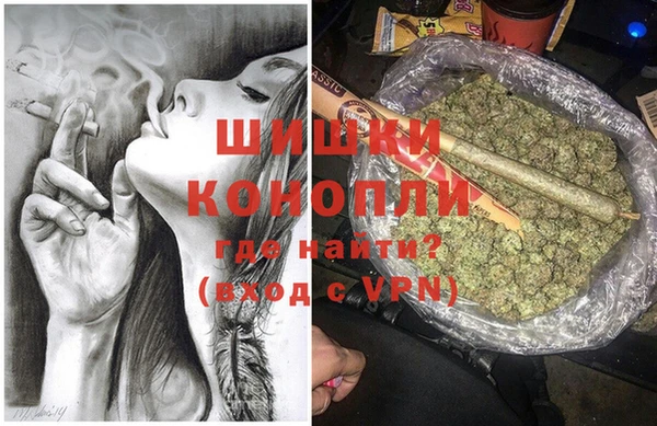 шишки Верея