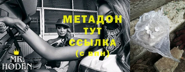 шишки Верея