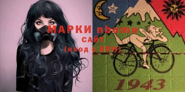 шишки Верея