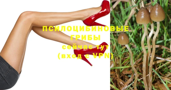 шишки Верея