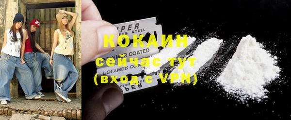 шишки Верея