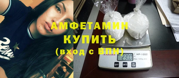 шишки Верея