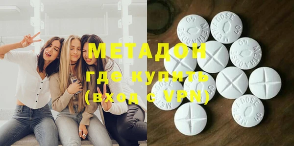 шишки Верея