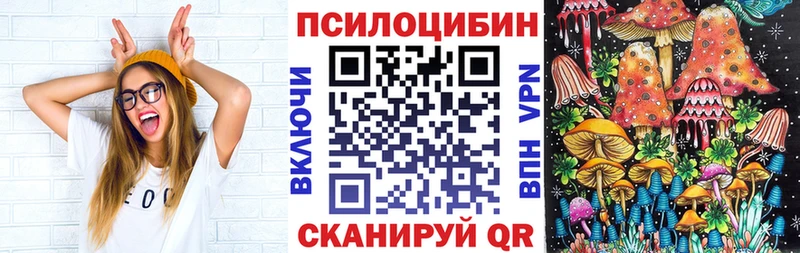 Галлюциногенные грибы GOLDEN TEACHER  наркотики  площадка клад  Новошахтинск 
